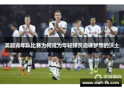 英超青年队比赛为何成为年轻球员追逐梦想的沃土 英超青年队比赛为何成为年轻球员追逐梦想的沃土