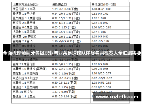 全面梳理葡萄牙各级职业与业余足球球队详尽名录概览大全汇编集要