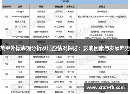 英甲外援表现分析及适应情况探讨：影响因素与发展趋势